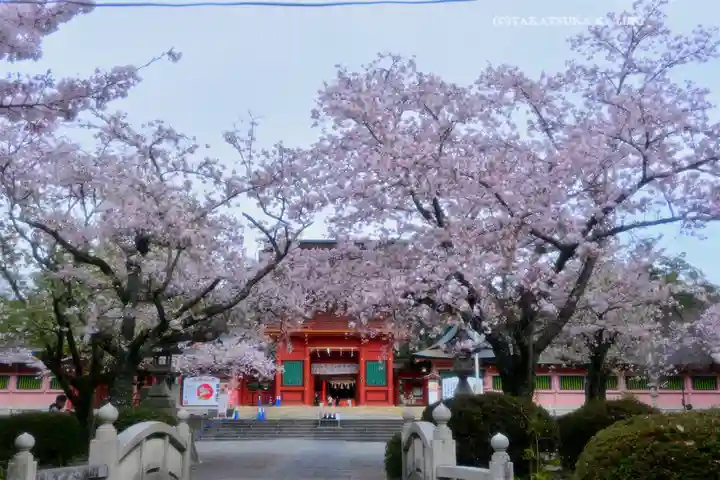 富士山本宮浅間大社(静岡県)