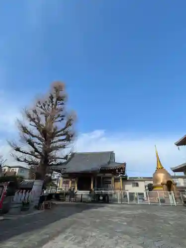 福王山  慈眼寺(東京都)