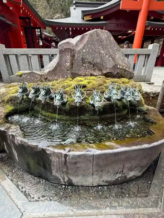 九頭龍神社新宮の{uncategorized: "未分類", other: "その他", undefined: "問題あり", building: "その他建物", grave: "お墓", sacred_gate: "鳥居", guardian: "狛犬", statue: "像", buddha: "仏像", history: "歴史", nature: "自然", garden: "庭園", animal: "動物", pagoda: "塔", temizu: "手水舎", mountain_gate: "山門・神門", sanctuary: "本殿・本堂", subordinate: "末社・摂社", art: "芸術", scenery: "景色", jizo: "地蔵", ema: "絵馬", goshuin: "御朱印", omikuji: "おみくじ", items: "授与品その他", amulet: "お守り", goshuincho: "御朱印帳", eats: "食事", festival: "お祭り", votive_dance: "神楽", shichigosan: "七五三参", wedding: "結婚式", experience: "体験その他", initially: "初詣", around: "周辺", anti_infection: "感染症対策"}