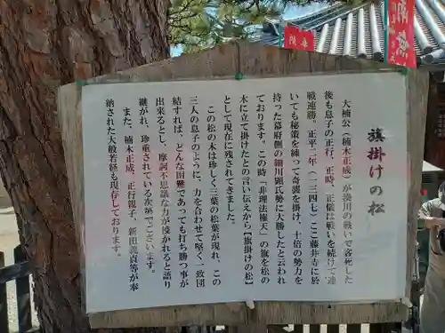 葛井寺の御朱印