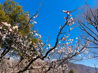 眞田神社(長野県)