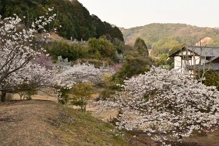 実報寺(愛媛県)