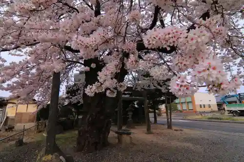 中野稲荷神社の庭園