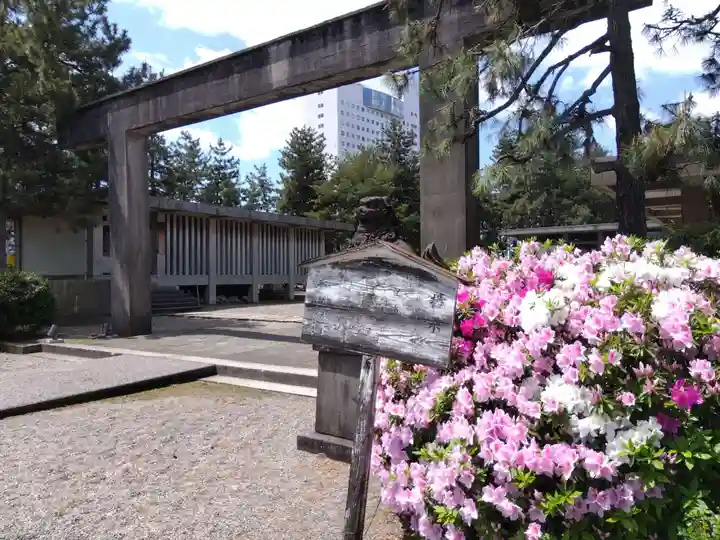 福井神社(福井県)