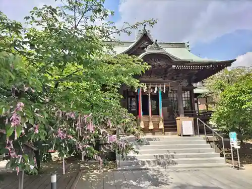 桜神宮(東京都)