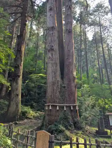 御岩神社(茨城県)