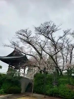 福蔵院(東京都)