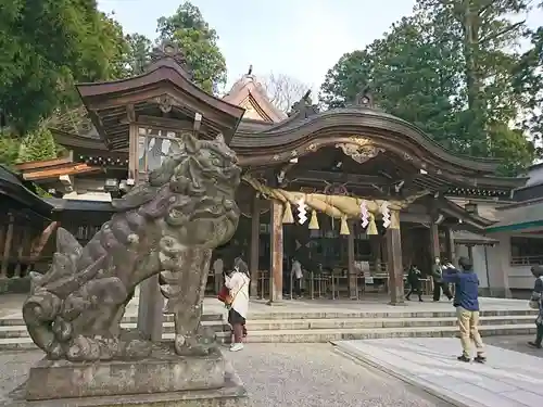 白山比咩神社の狛犬