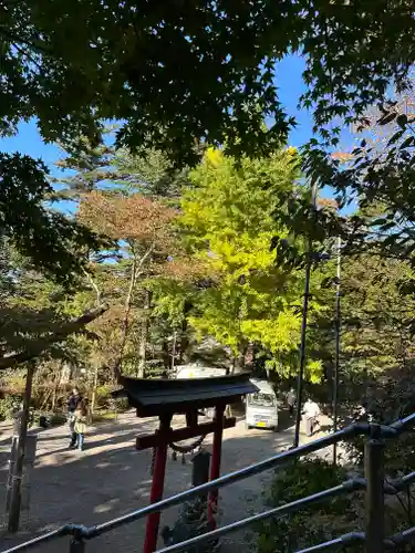 新倉富士浅間神社(山梨県)