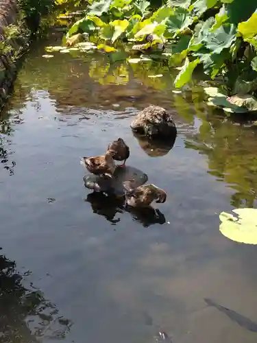 青井阿蘇神社(熊本県)