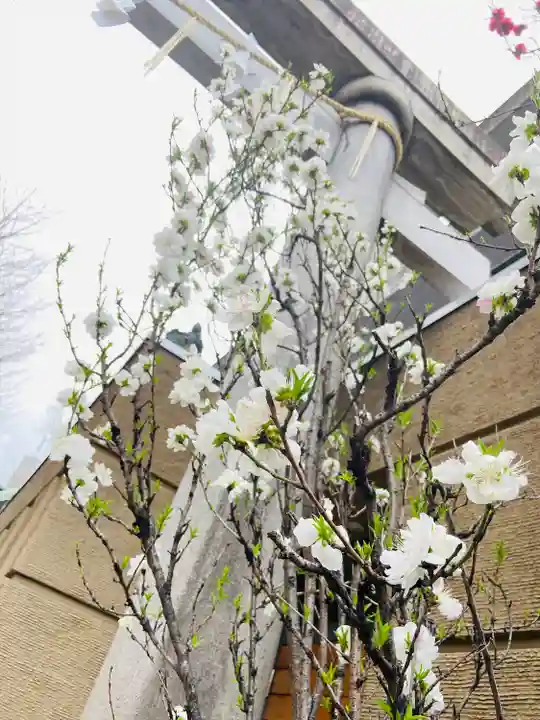 小野照崎神社(東京都)