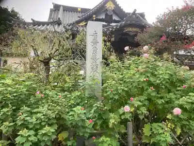 妙隆寺(神奈川県)