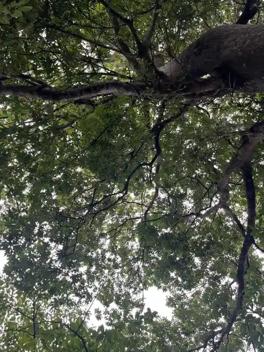 飯坂八幡神社(福島県)