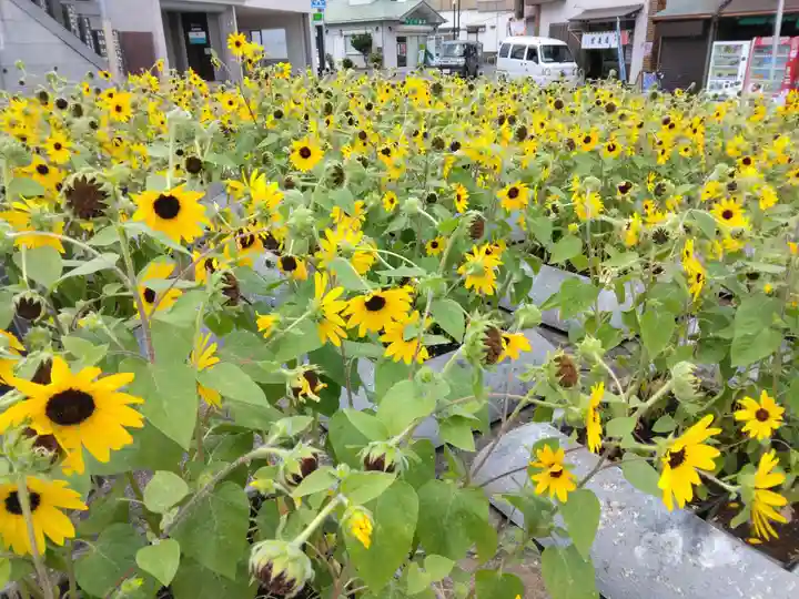 成田山 薬師堂(旧本堂)(千葉県)