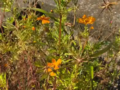 新作八幡宮(神奈川県)