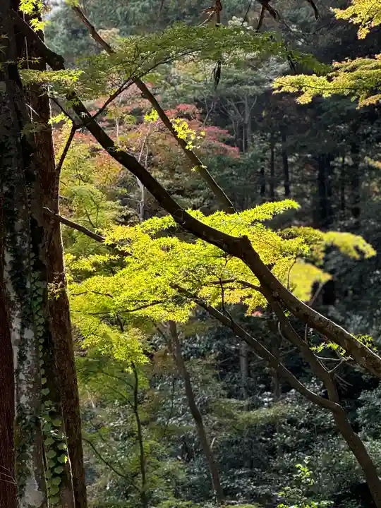 大矢田神社(岐阜県)