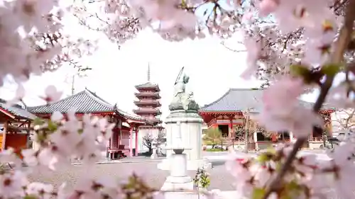 津観音(三重県)