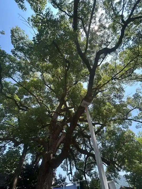高忍日賣神社(愛媛県)