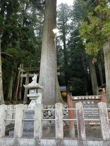 室生龍穴神社の自然