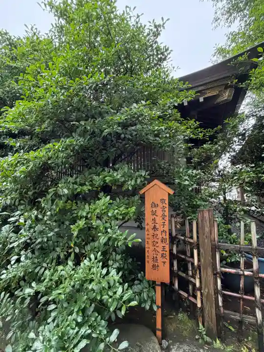 寒川神社(神奈川県)