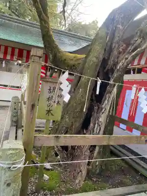 笠間稲荷神社(茨城県)