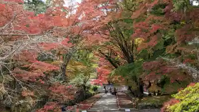 毘沙門堂門跡(京都府)