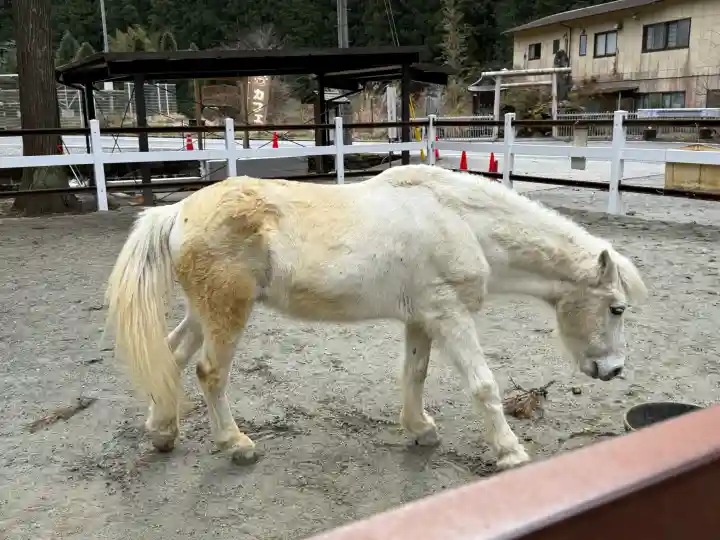 丹生川上神社(下社)の{uncategorized: "未分類", other: "その他", undefined: "問題あり", building: "その他建物", grave: "お墓", sacred_gate: "鳥居", guardian: "狛犬", statue: "像", buddha: "仏像", history: "歴史", nature: "自然", garden: "庭園", animal: "動物", pagoda: "塔", temizu: "手水舎", mountain_gate: "山門・神門", sanctuary: "本殿・本堂", subordinate: "末社・摂社", art: "芸術", scenery: "景色", jizo: "地蔵", ema: "絵馬", goshuin: "御朱印", omikuji: "おみくじ", items: "授与品その他", amulet: "お守り", goshuincho: "御朱印帳", eats: "食事", festival: "お祭り", votive_dance: "神楽", shichigosan: "七五三参", wedding: "結婚式", experience: "体験その他", initially: "初詣", around: "周辺", anti_infection: "感染症対策"}