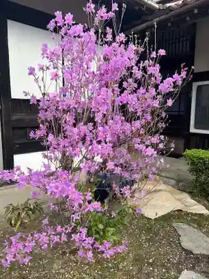 木舟山　順教寺(広島県)