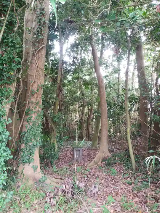祠(名称不明)の周辺
