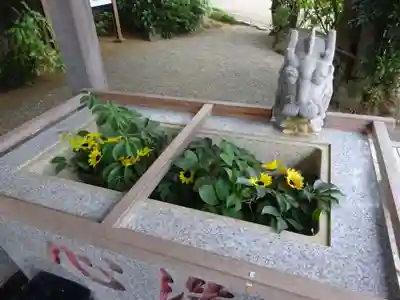 比々多神社の手水舎