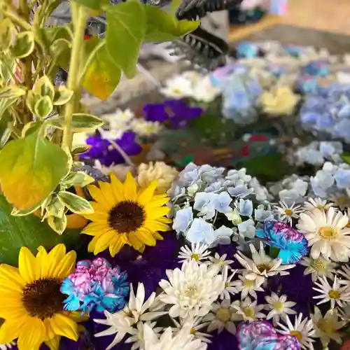 札幌諏訪神社の手水舎