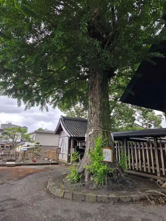 伊勢天照御祖神社(大石神社)(福岡県)