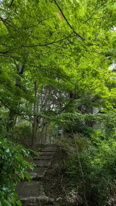 十輪寺(京都府)