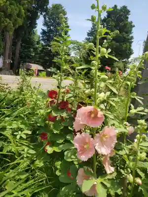 高司神社〜むすびの神の鎮まる社〜(福島県)