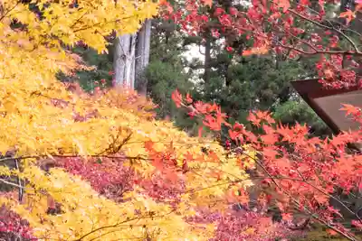 小國神社(静岡県)