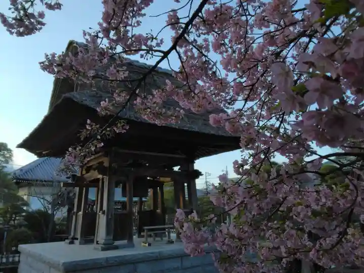 龍華寺(神奈川県)
