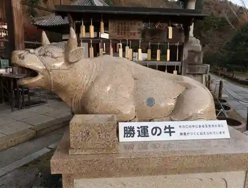 三室戸寺の狛犬