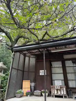 大綱金刀比羅神社の{uncategorized: "未分類", other: "その他", undefined: "問題あり", building: "その他建物", grave: "お墓", sacred_gate: "鳥居", guardian: "狛犬", statue: "像", buddha: "仏像", history: "歴史", nature: "自然", garden: "庭園", animal: "動物", pagoda: "塔", temizu: "手水舎", mountain_gate: "山門・神門", sanctuary: "本殿・本堂", subordinate: "末社・摂社", art: "芸術", scenery: "景色", jizo: "地蔵", ema: "絵馬", goshuin: "御朱印", omikuji: "おみくじ", items: "授与品その他", amulet: "お守り", goshuincho: "御朱印帳", eats: "食事", festival: "お祭り", votive_dance: "神楽", shichigosan: "七五三参", wedding: "結婚式", experience: "体験その他", initially: "初詣", around: "周辺", anti_infection: "感染症対策"}