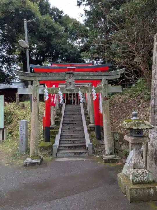 大杉神社(茨城県)