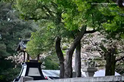 三嶋大社のその他建物