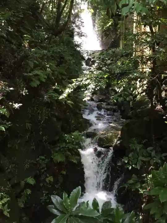 多度大社の自然