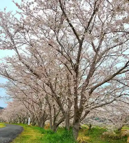 雨櫻神社(静岡県)
