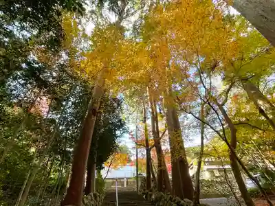 乾徳寺(滋賀県)