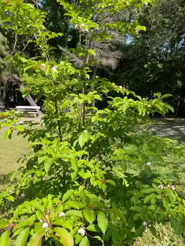 鶴林寺(兵庫県)