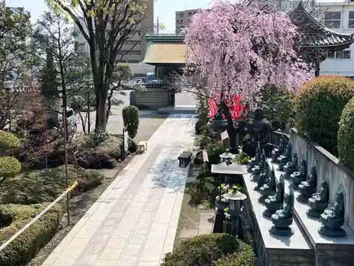 錫杖寺(埼玉県)