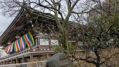  智積院(京都府)