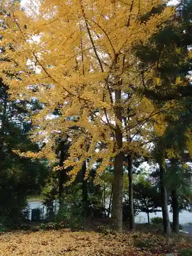 三柱神社（駒場町）の周辺