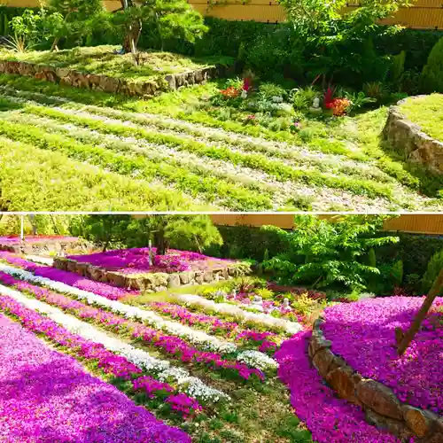 寿量山　速成寺の庭園