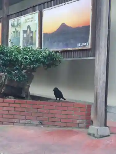 江島神社(神奈川県)