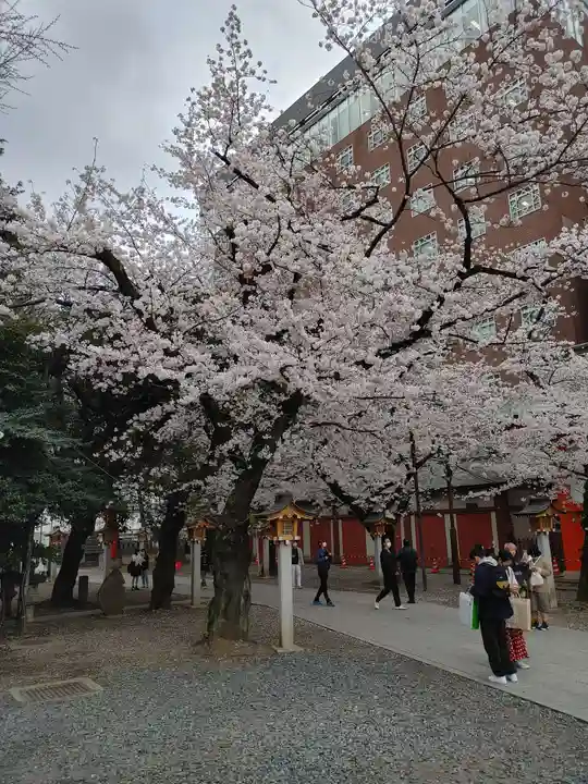 花園神社の自然